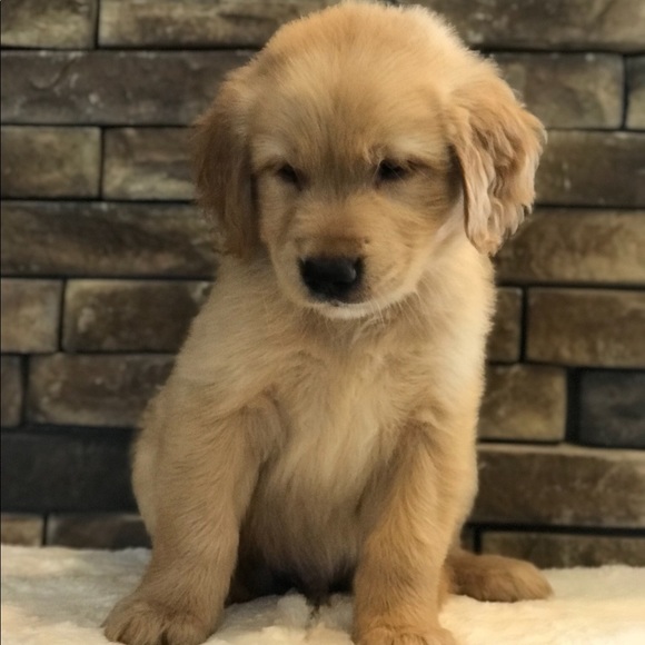 Meet your Posher, Bethany - Picture 1 of 1